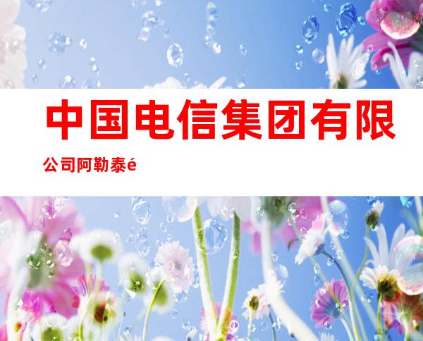 中国电信集团有限公司阿勒泰长途传输局