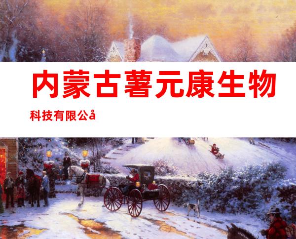 内蒙古薯元康生物科技有限公司