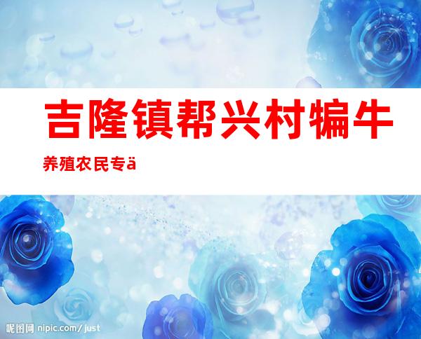 吉隆镇帮兴村犏牛养殖农民专业合作社