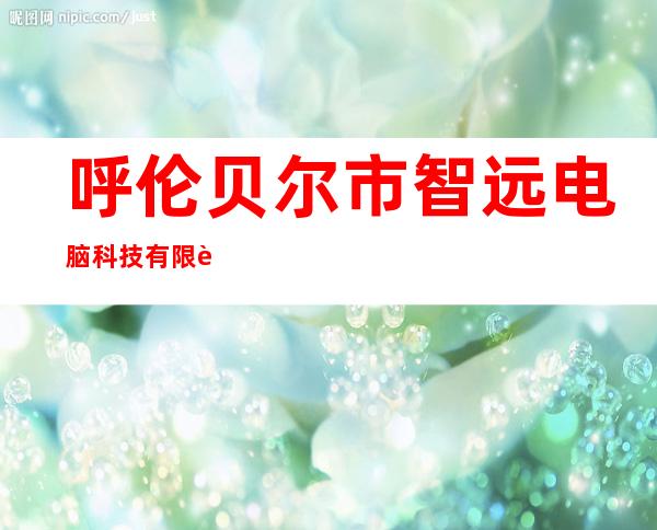 呼伦贝尔市智远电脑科技有限责任公司