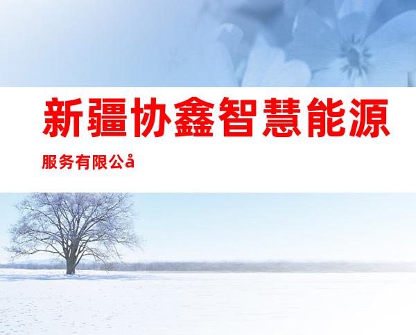 新疆协鑫智慧能源服务有限公司