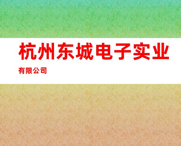 杭州东城电子实业有限公司