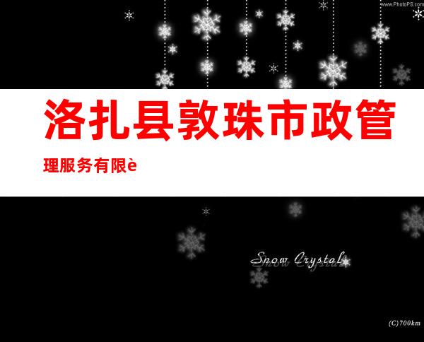 洛扎县敦珠市政管理服务有限责任公司