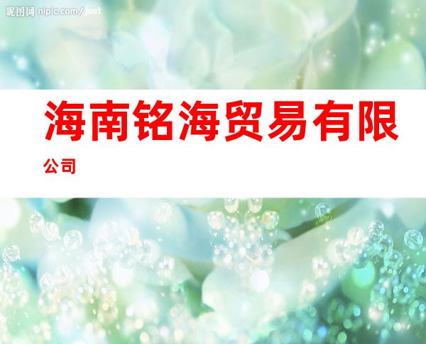 海南铭海贸易有限公司