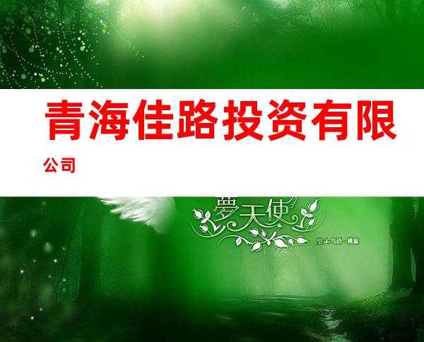 青海佳路投资有限公司